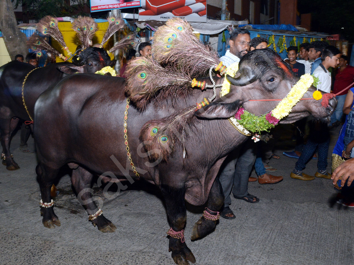 Sadar Festival Celebrations In Hyderabad  - Sakshi15