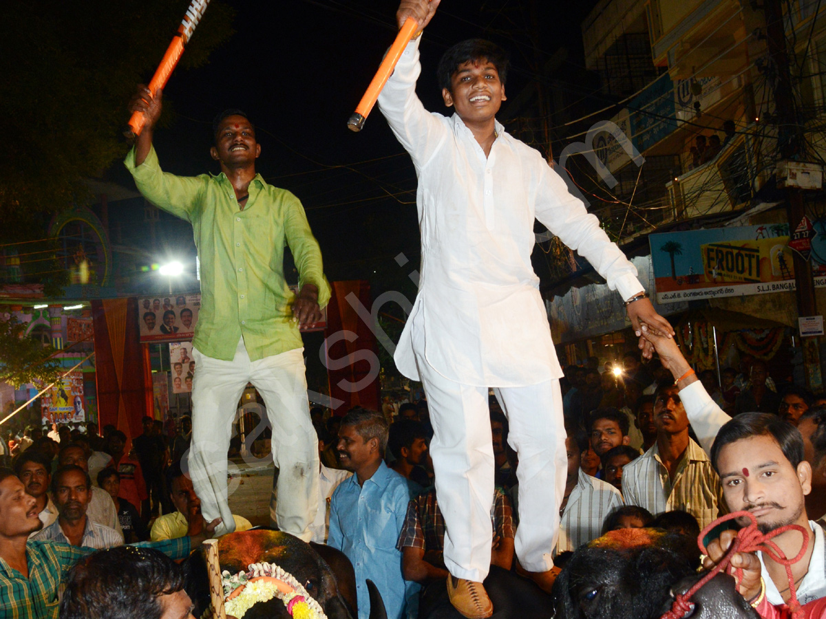 Sadar Festival Celebrations In Hyderabad  - Sakshi21