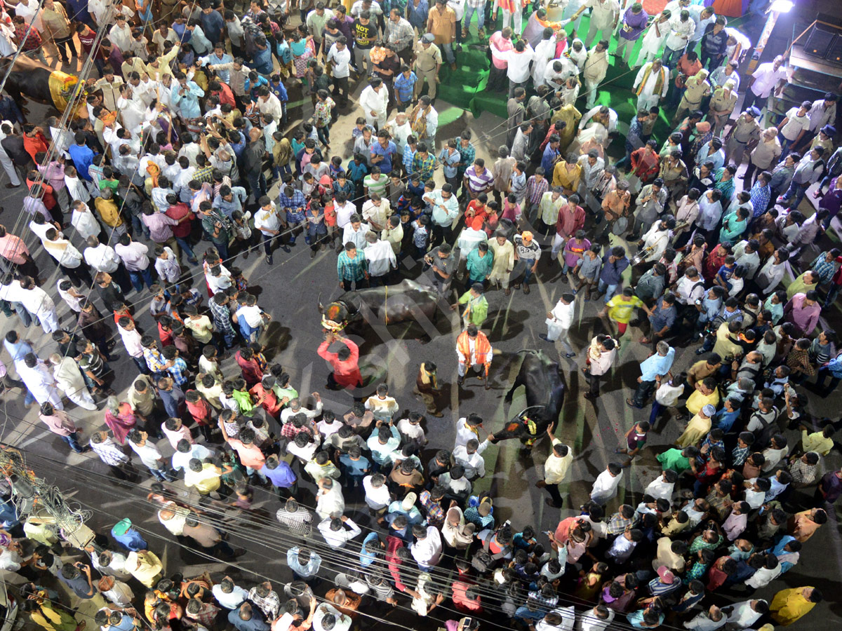 Sadar Festival Celebrations In Hyderabad  - Sakshi5