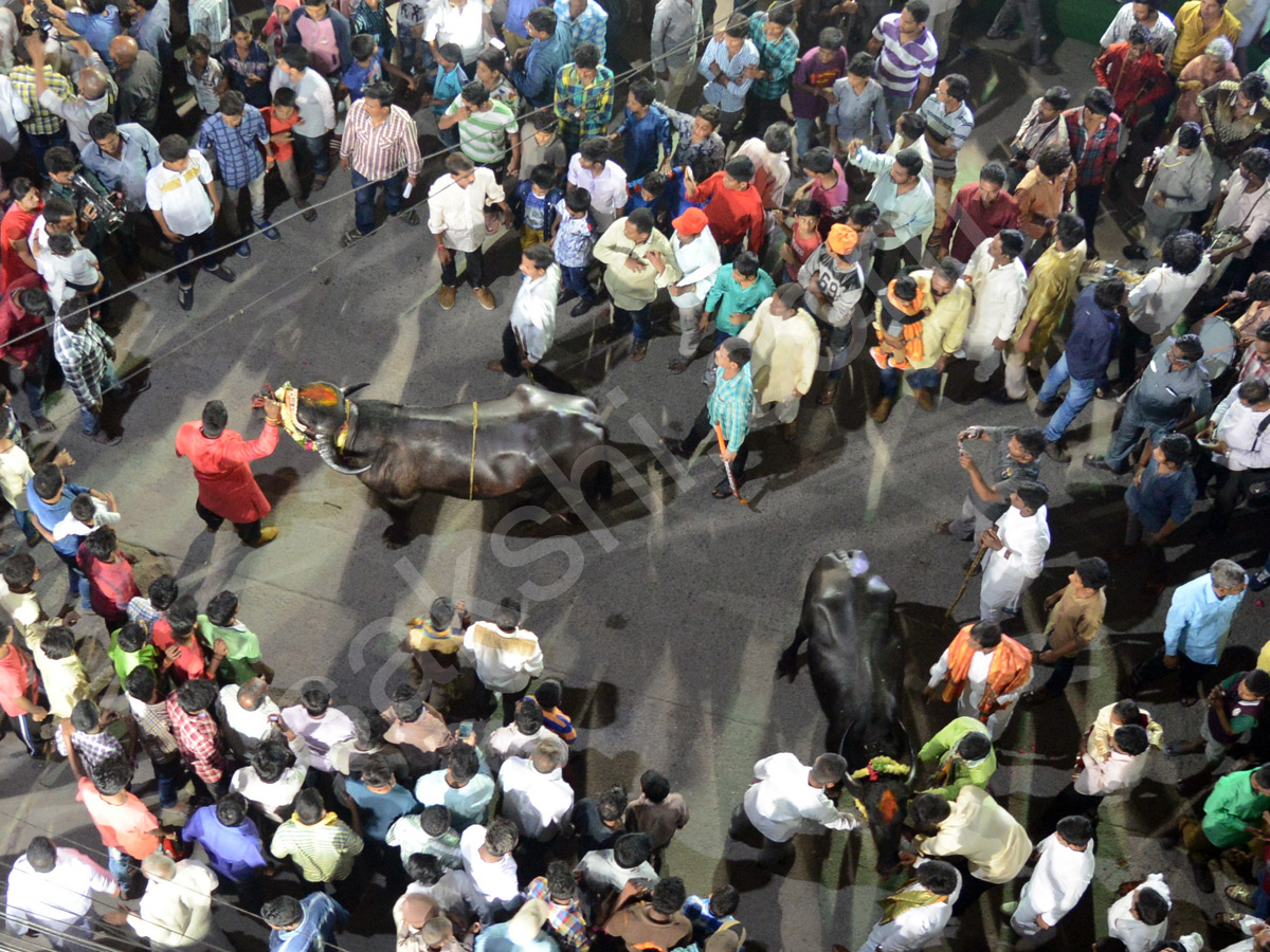 Sadar Festival Celebrations In Hyderabad  - Sakshi6