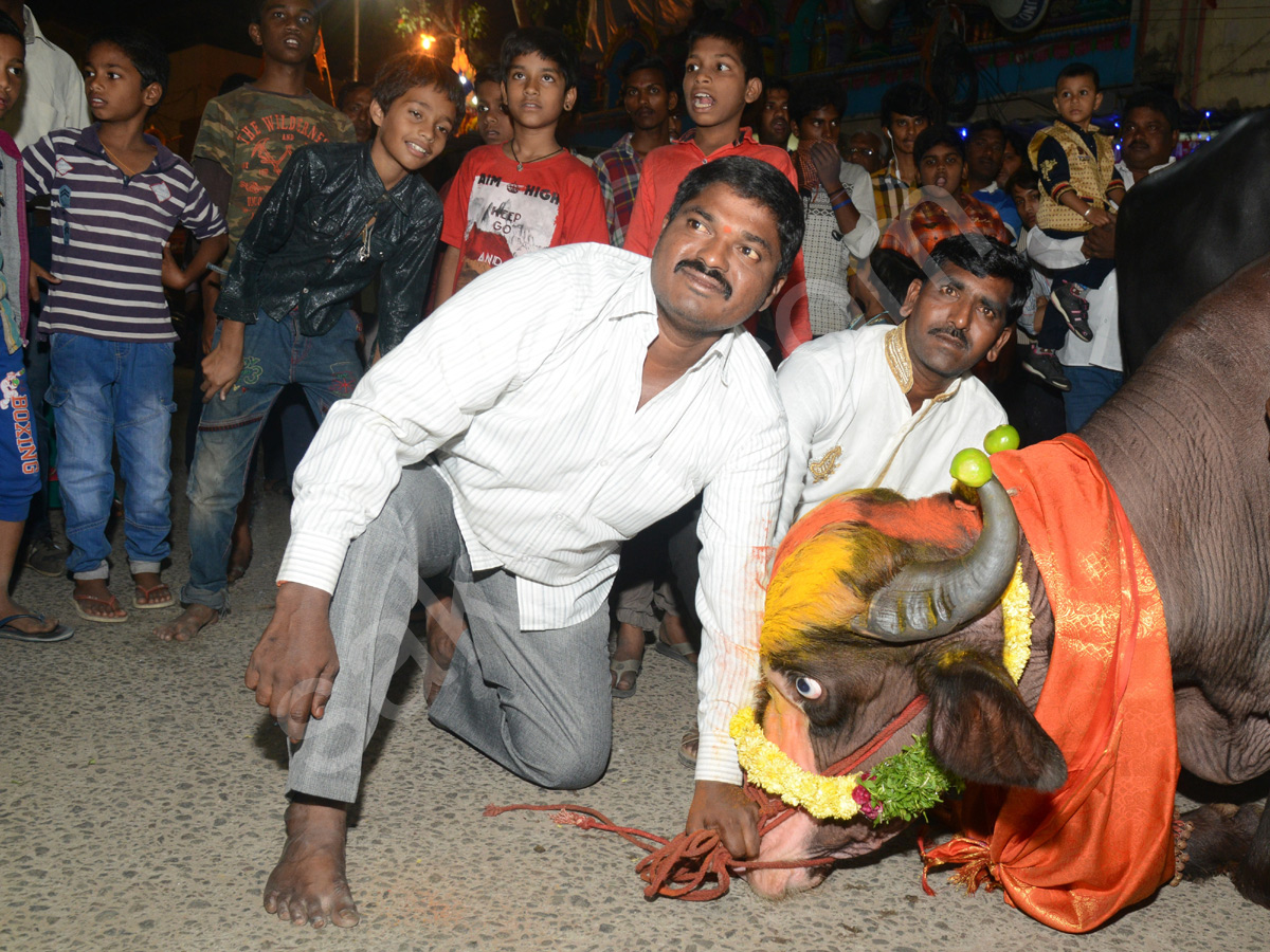 Sadar Festival Celebrations In Hyderabad  - Sakshi9