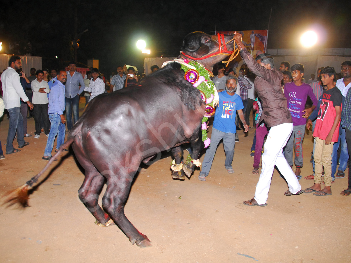 Sadar Festival Celebrations In Hyderabad  - Sakshi25