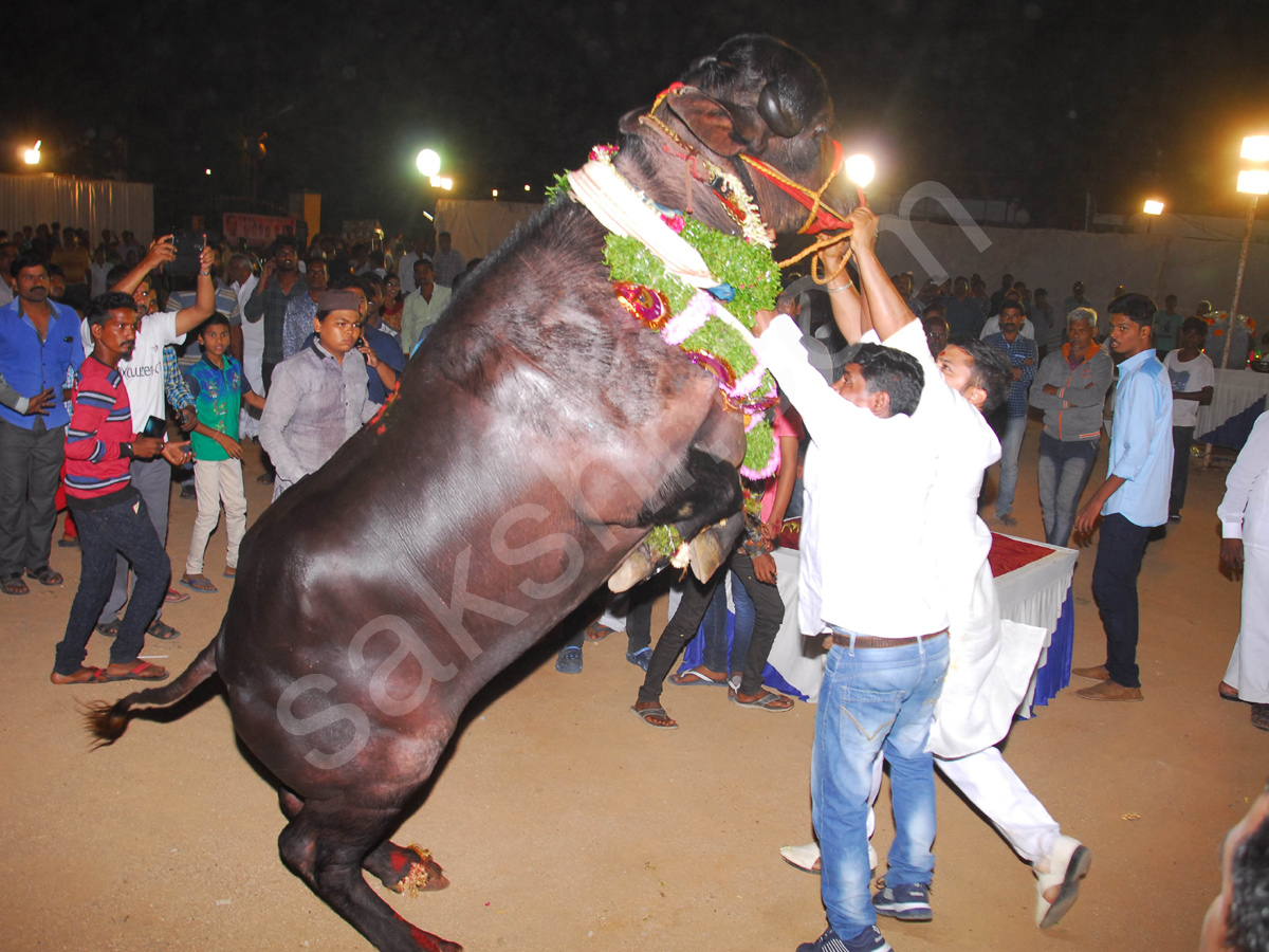 Sadar Festival Celebrations In Hyderabad  - Sakshi27