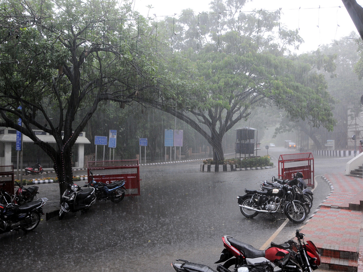 Heavy Rain In Tirumala26