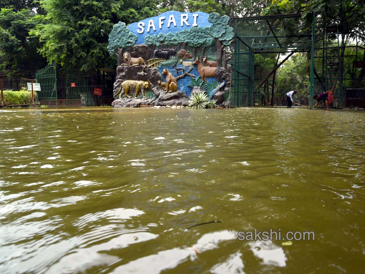 Heavy Rains in Hyderabad - Sakshi17