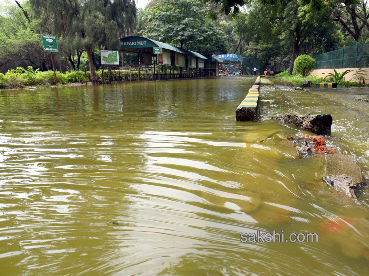 Heavy Rains in Hyderabad - Sakshi18