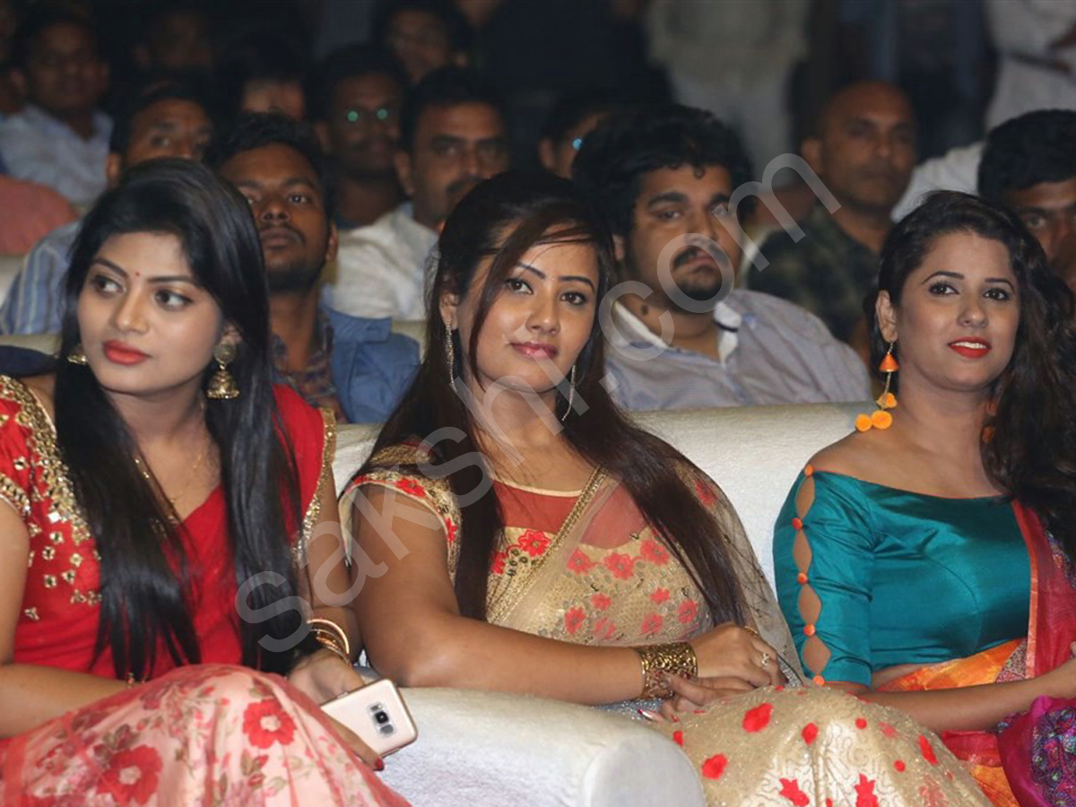 Balakrishnudu Audio Launch - Sakshi13