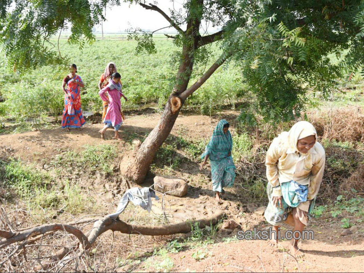 ninth day prajasankalapa yatra - Sakshi3