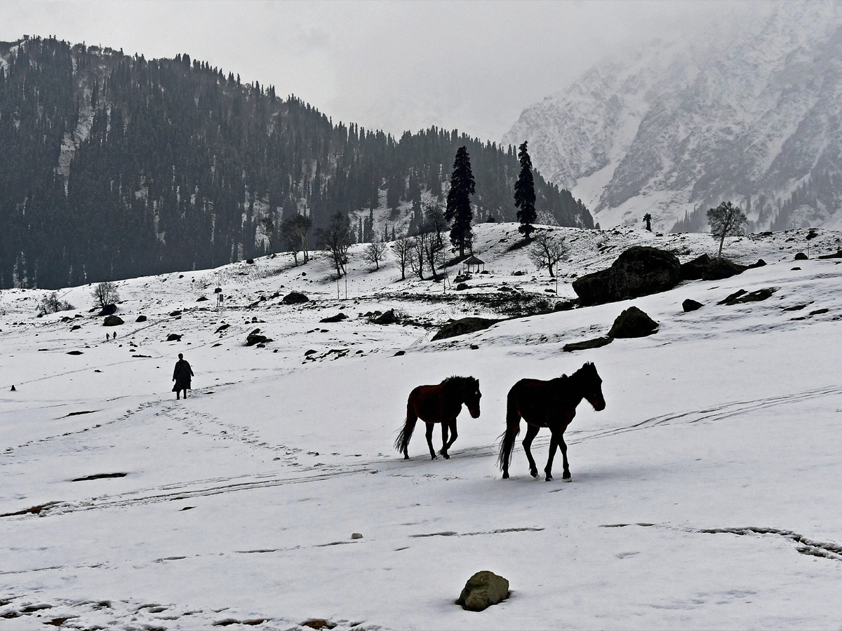 jammu and kashmir snowfall - Sakshi - Sakshi6