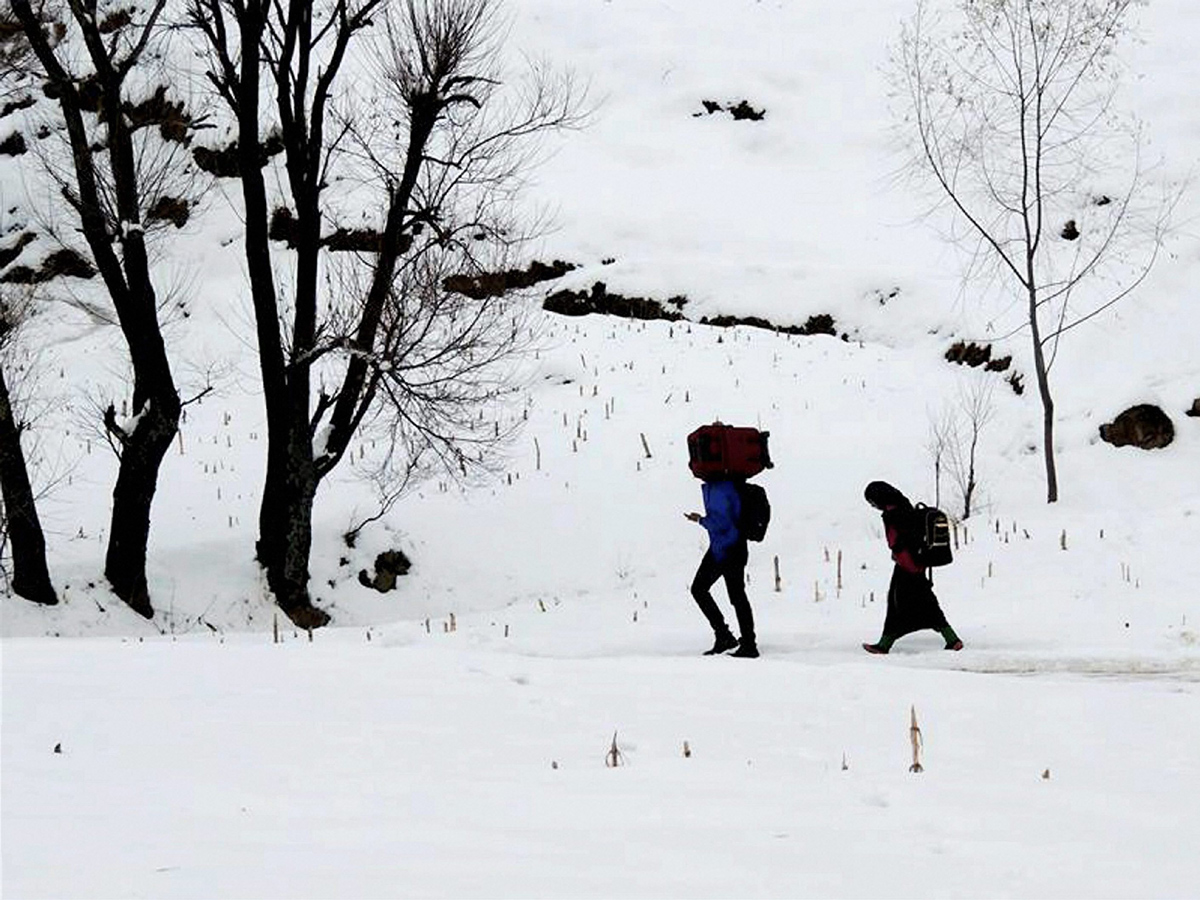 jammu and kashmir snowfall - Sakshi - Sakshi11