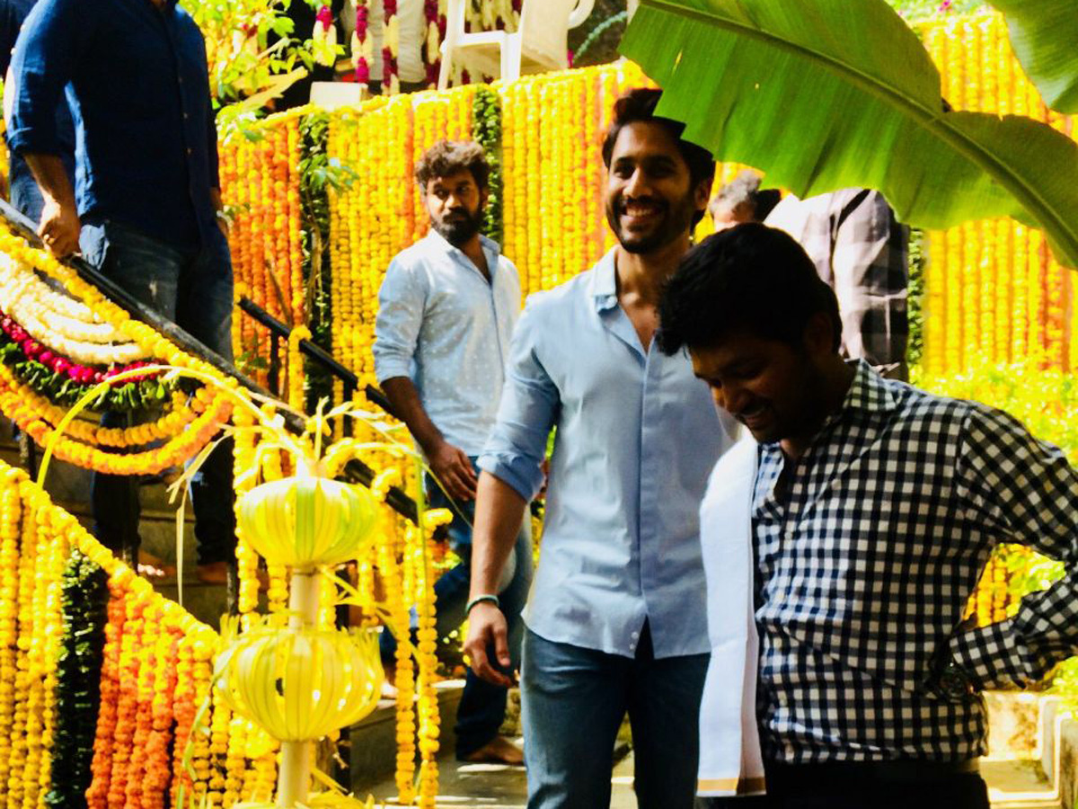 nagachaitanya maruthi new movie opening - Sakshi - Sakshi13