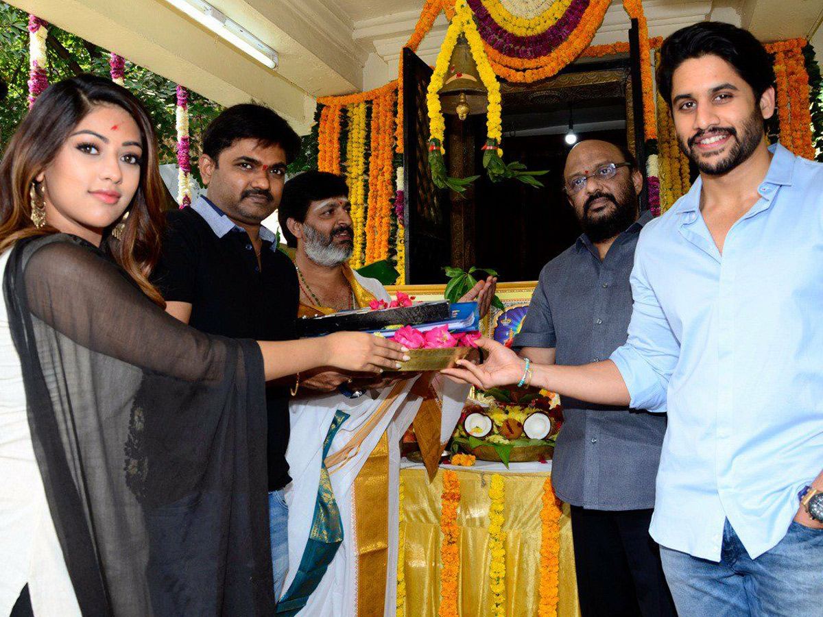 nagachaitanya maruthi new movie opening - Sakshi - Sakshi3