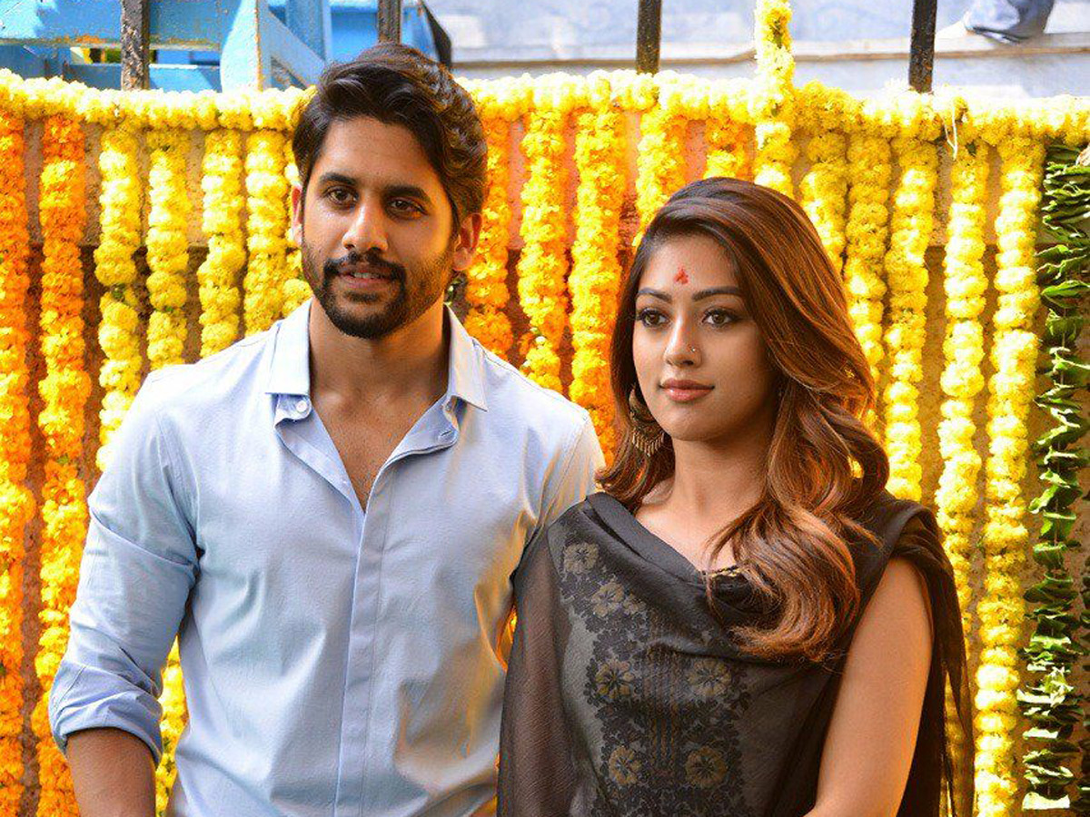 nagachaitanya maruthi new movie opening - Sakshi - Sakshi4