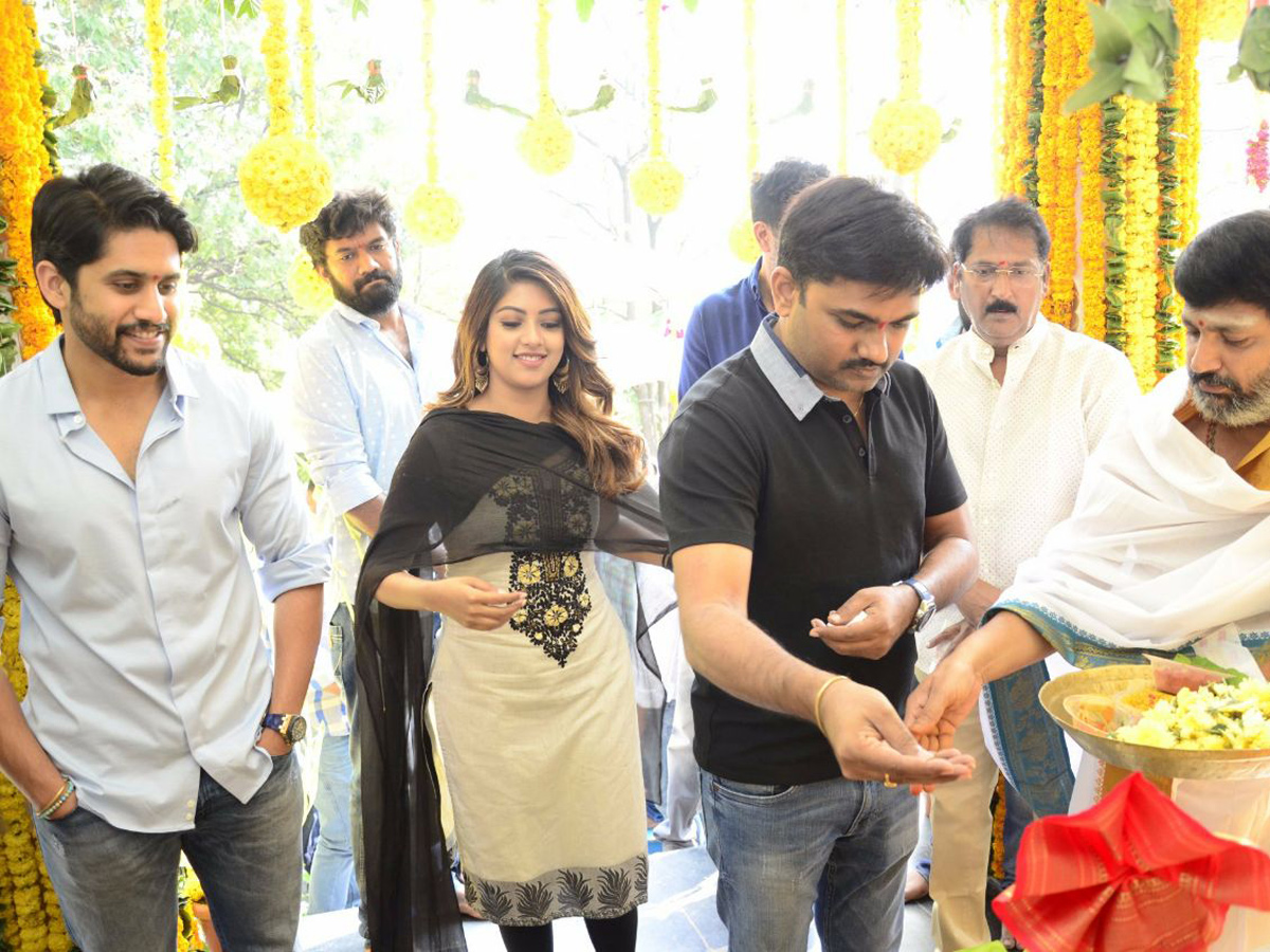 nagachaitanya maruthi new movie opening - Sakshi - Sakshi9