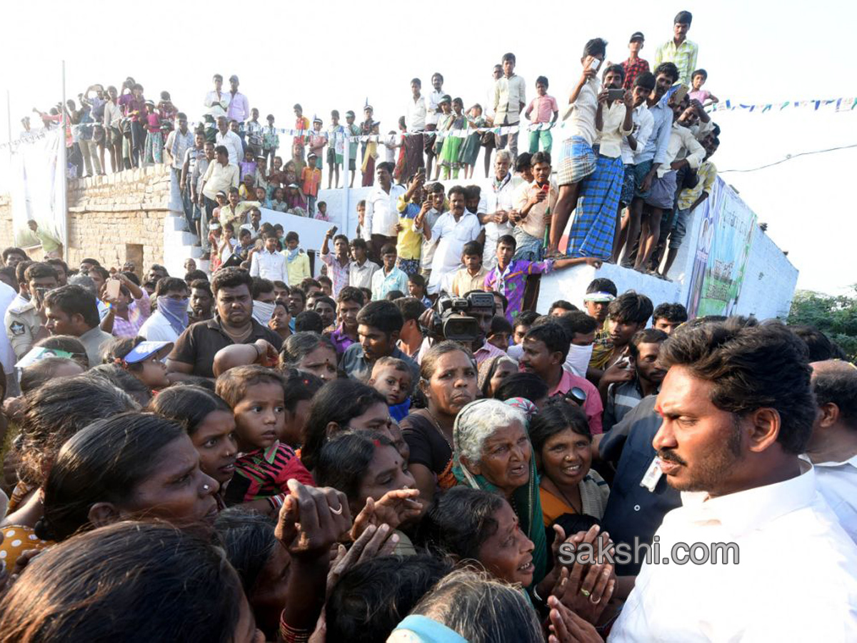 PrajaSankalpaYatra completes 300 km - Sakshi12