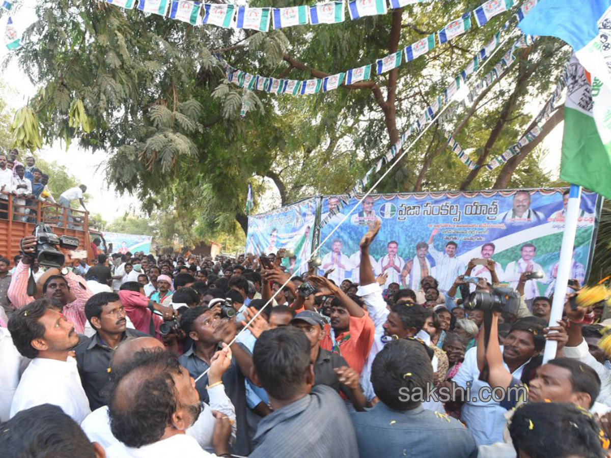 PrajaSankalpaYatra completes 300 km - Sakshi16