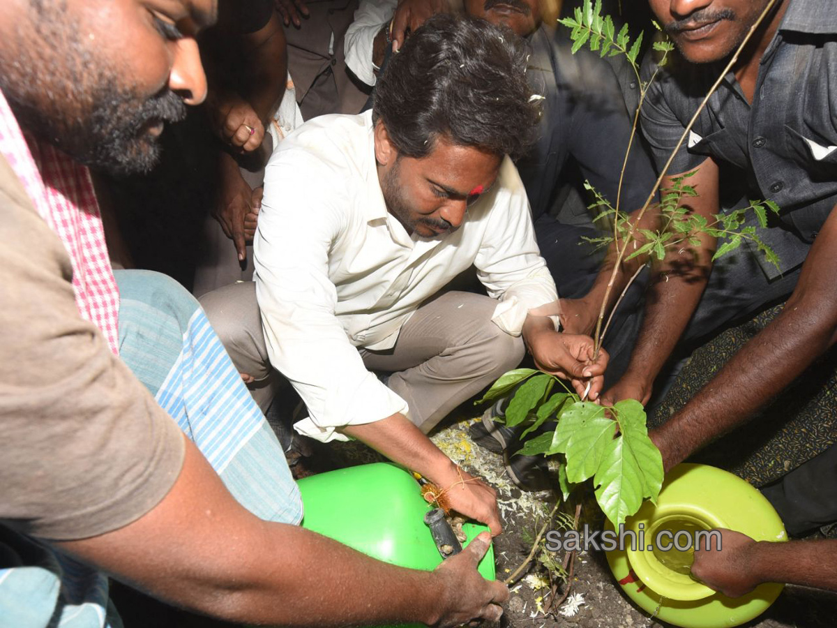 PrajaSankalpaYatra completes 300 km - Sakshi5