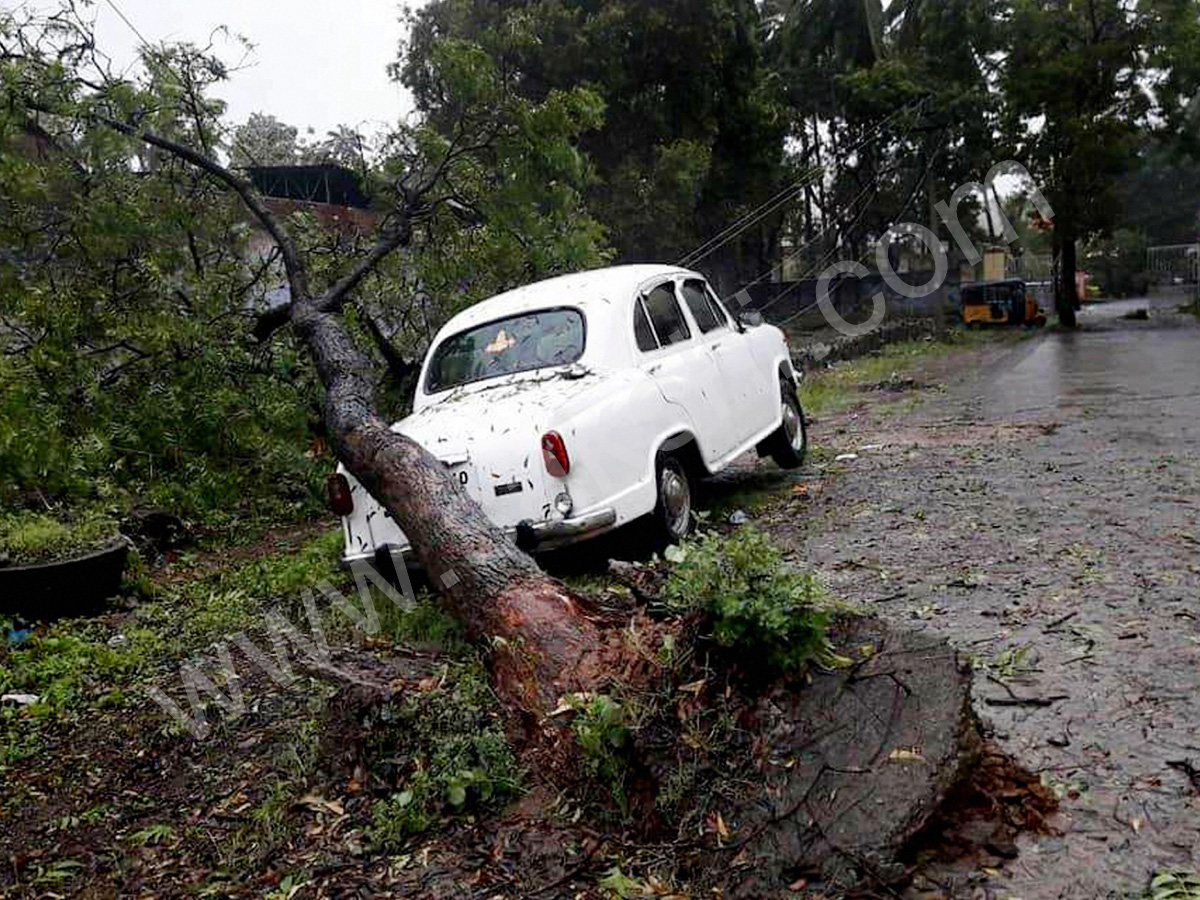 storm at Nagercoil in Kanyakumari district - Sakshi2