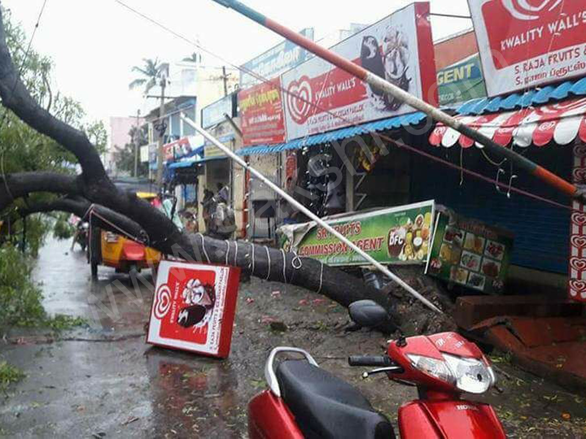 storm at Nagercoil in Kanyakumari district - Sakshi13