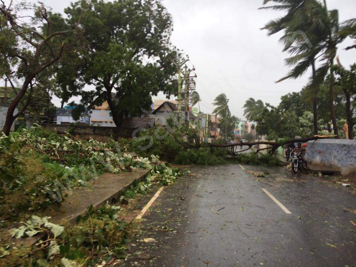 storm at Nagercoil in Kanyakumari district - Sakshi3