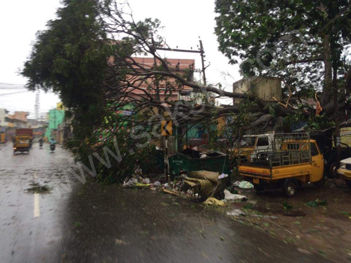 storm at Nagercoil in Kanyakumari district - Sakshi5