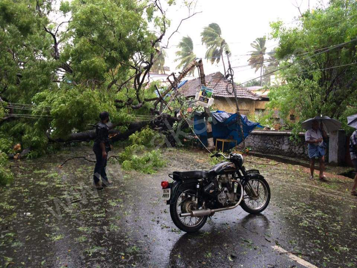 storm at Nagercoil in Kanyakumari district - Sakshi6