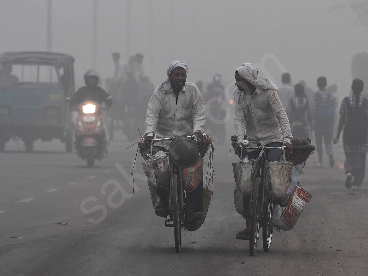 Dense Fog In Delhi - Sakshi17