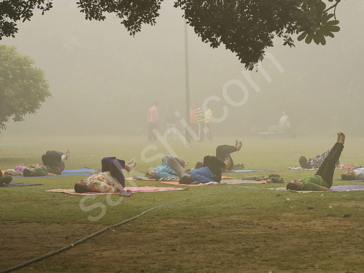 Dense Fog In Delhi - Sakshi4