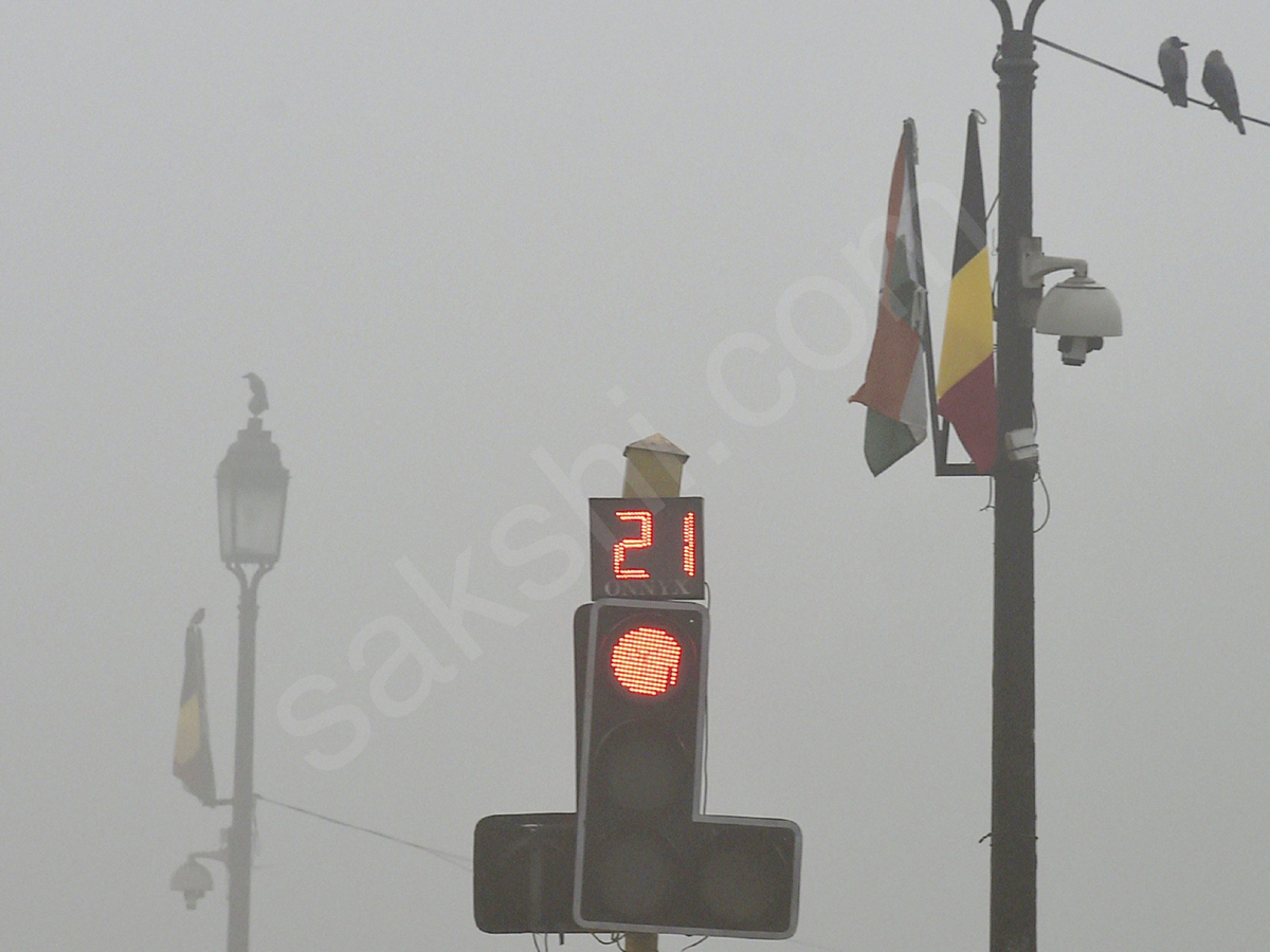 Dense Fog In Delhi - Sakshi7