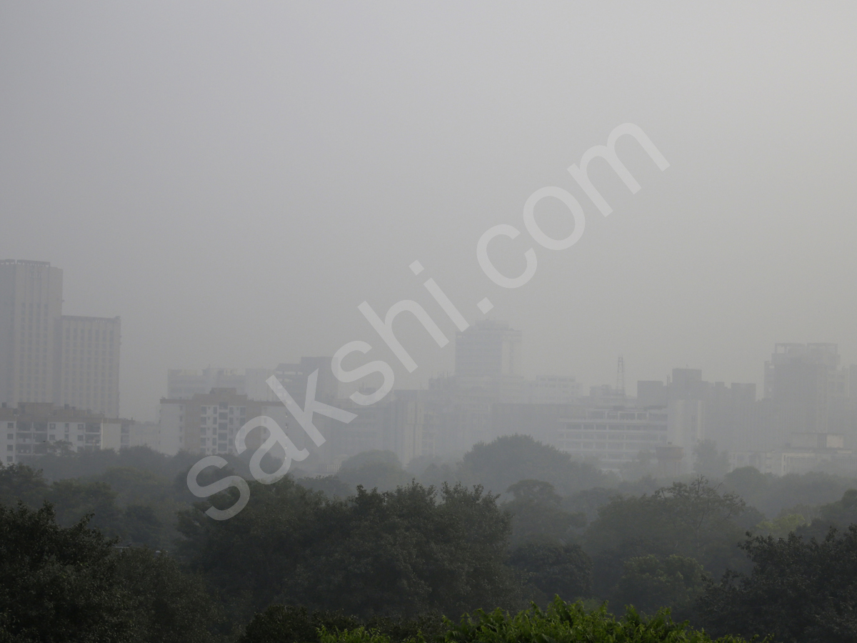 Dense Fog In Delhi - Sakshi10