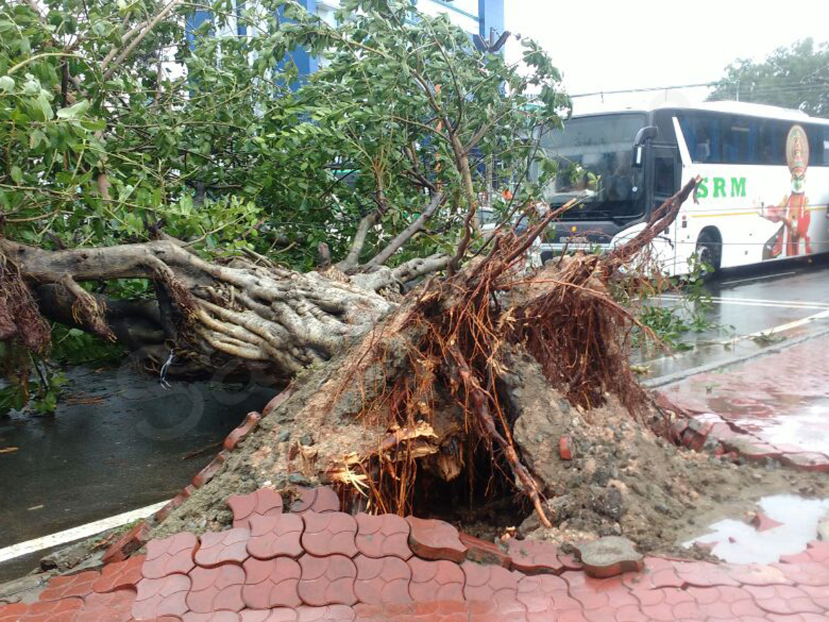 Heavy rains to lash south Tamil Nadu, Kerala due to cyclone Ockhi - Sakshi2