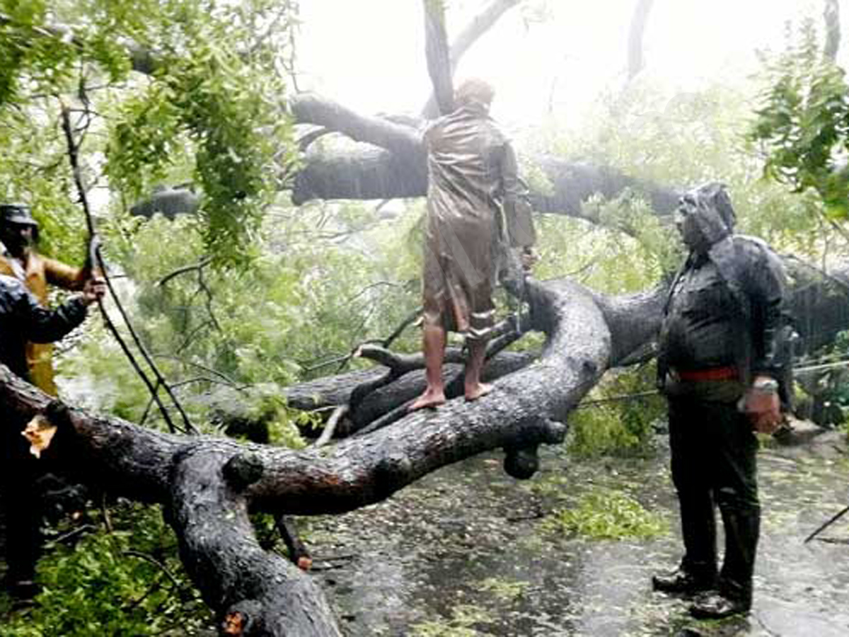 Heavy rains to lash south Tamil Nadu, Kerala due to cyclone Ockhi - Sakshi11