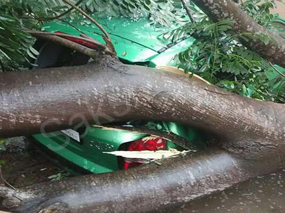 Heavy rains to lash south Tamil Nadu, Kerala due to cyclone Ockhi - Sakshi1