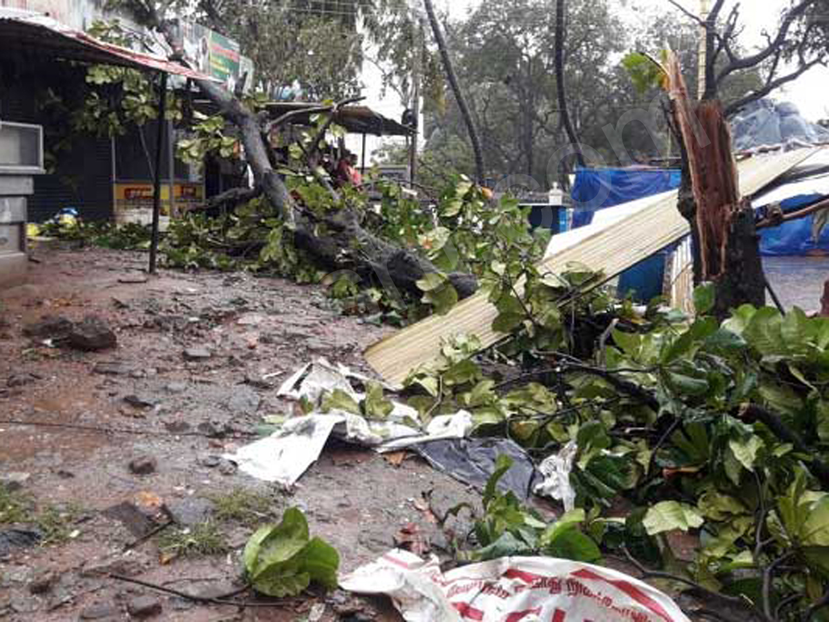 Heavy rains to lash south Tamil Nadu, Kerala due to cyclone Ockhi - Sakshi10