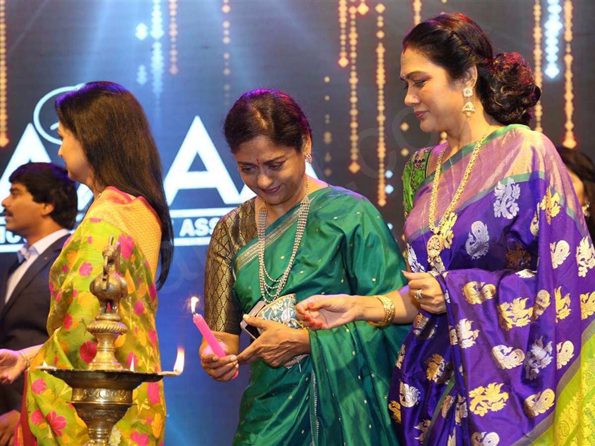 MAA Silver Jubilee Curtain Raiser - Sakshi8