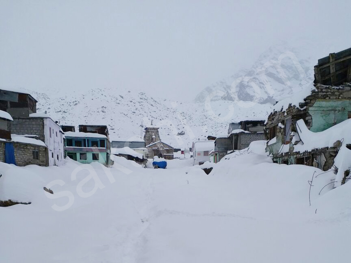 snowfall in himachal pradesh - Sakshi13