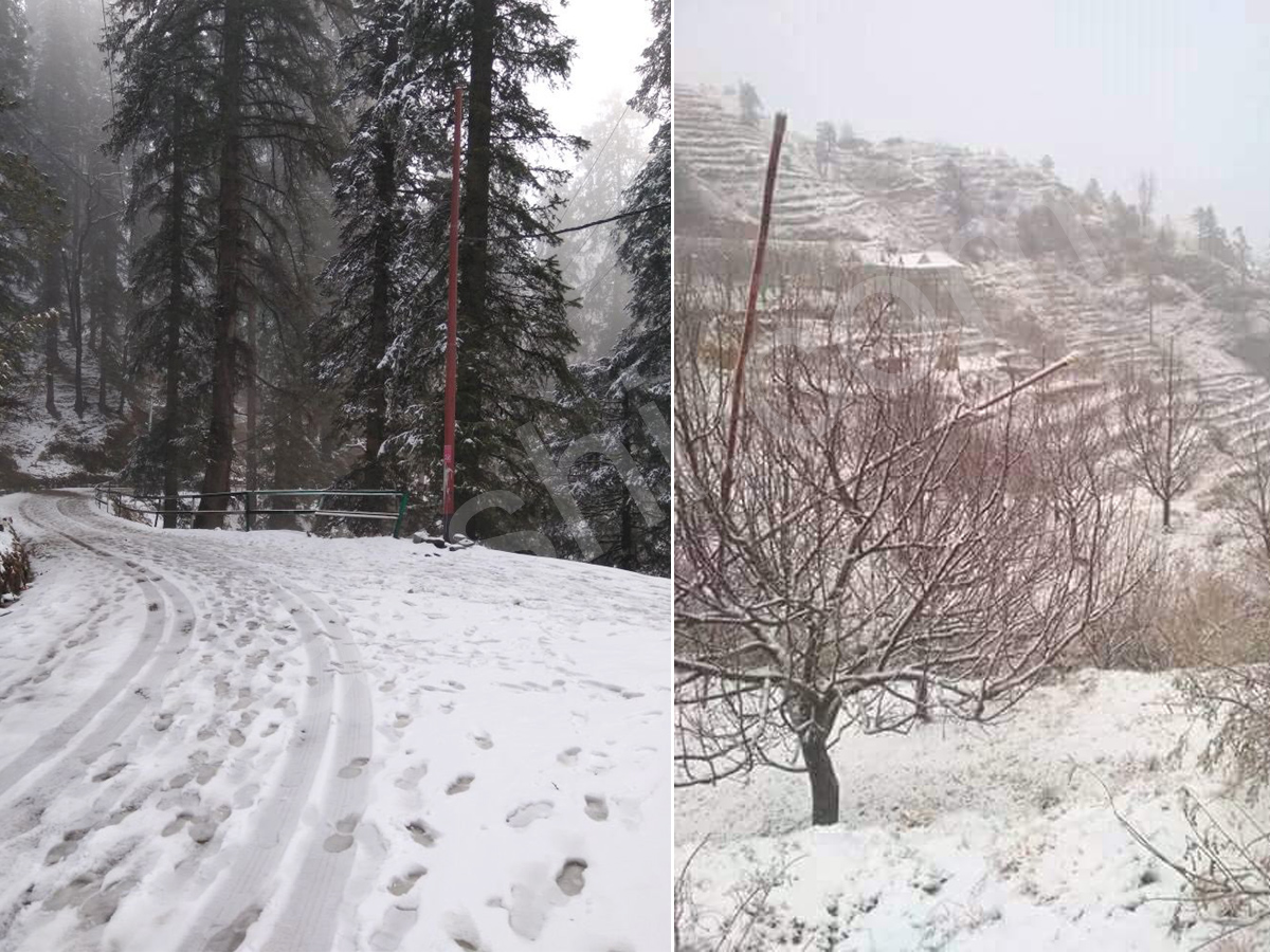 snowfall in himachal pradesh - Sakshi14