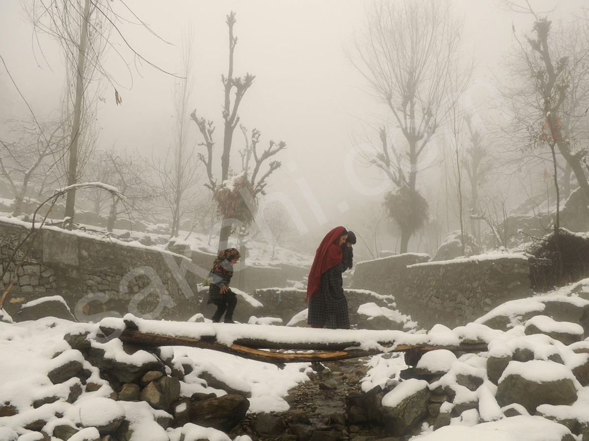 snowfall in himachal pradesh - Sakshi17