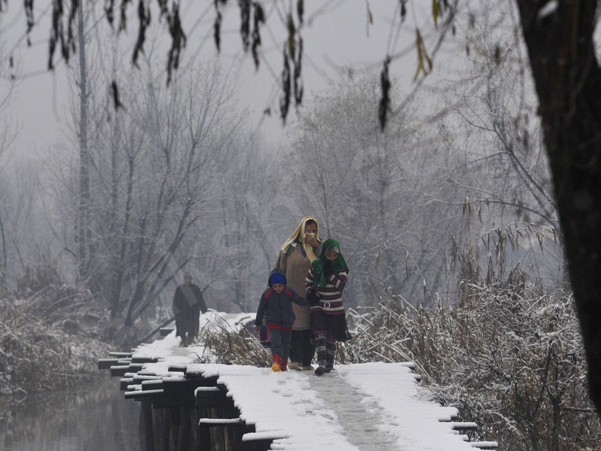 snowfall in himachal pradesh - Sakshi2