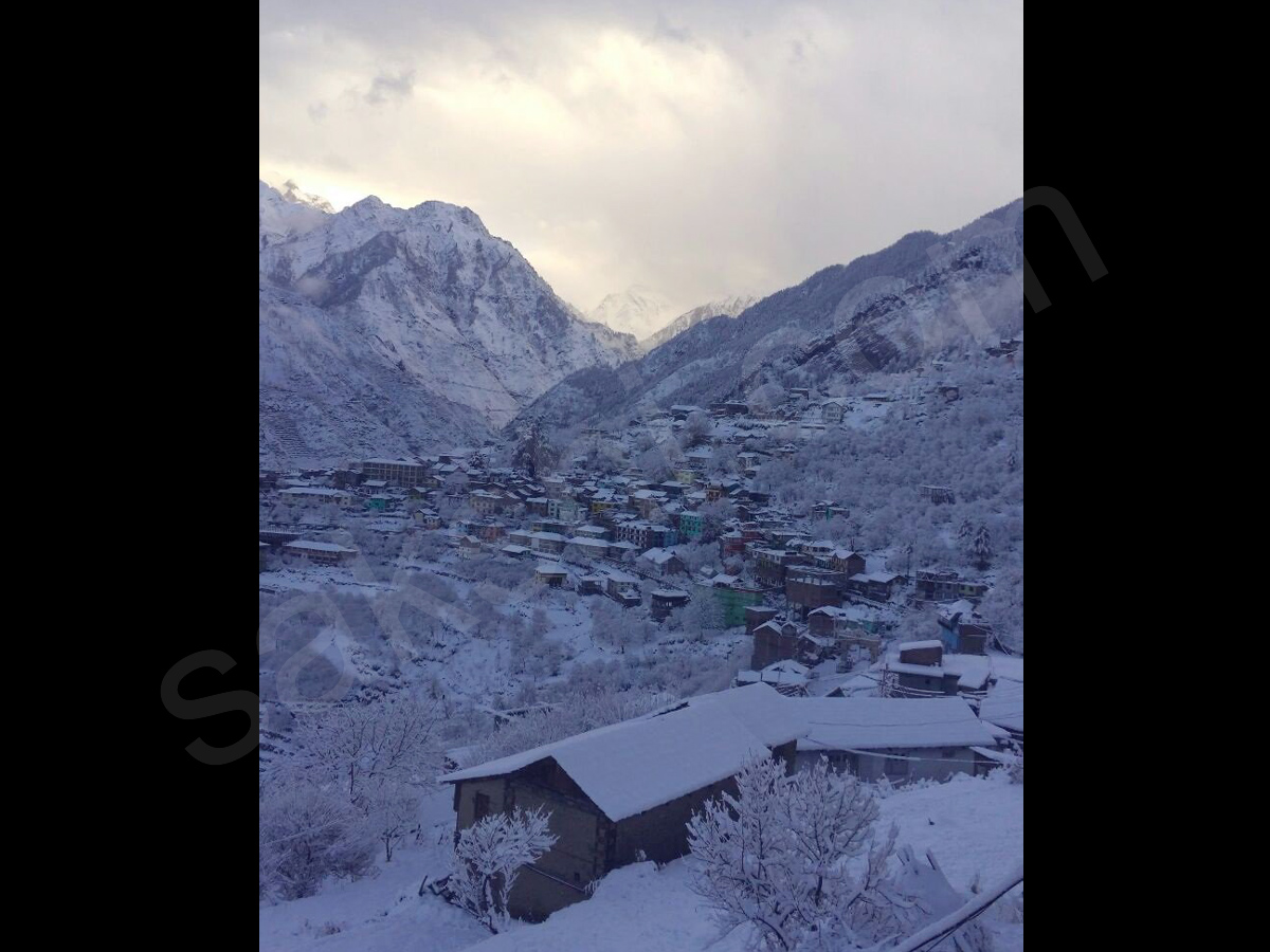 snowfall in himachal pradesh - Sakshi20