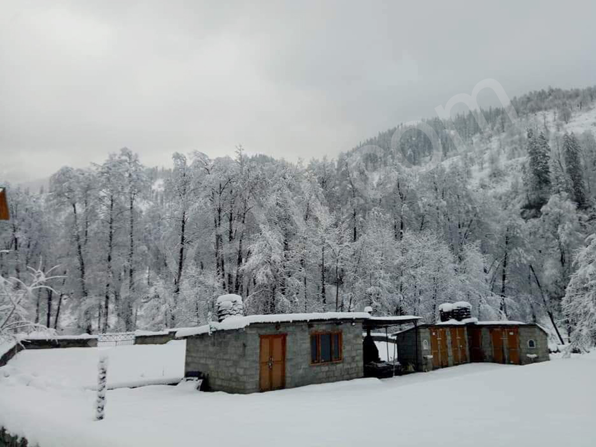 snowfall in himachal pradesh - Sakshi21