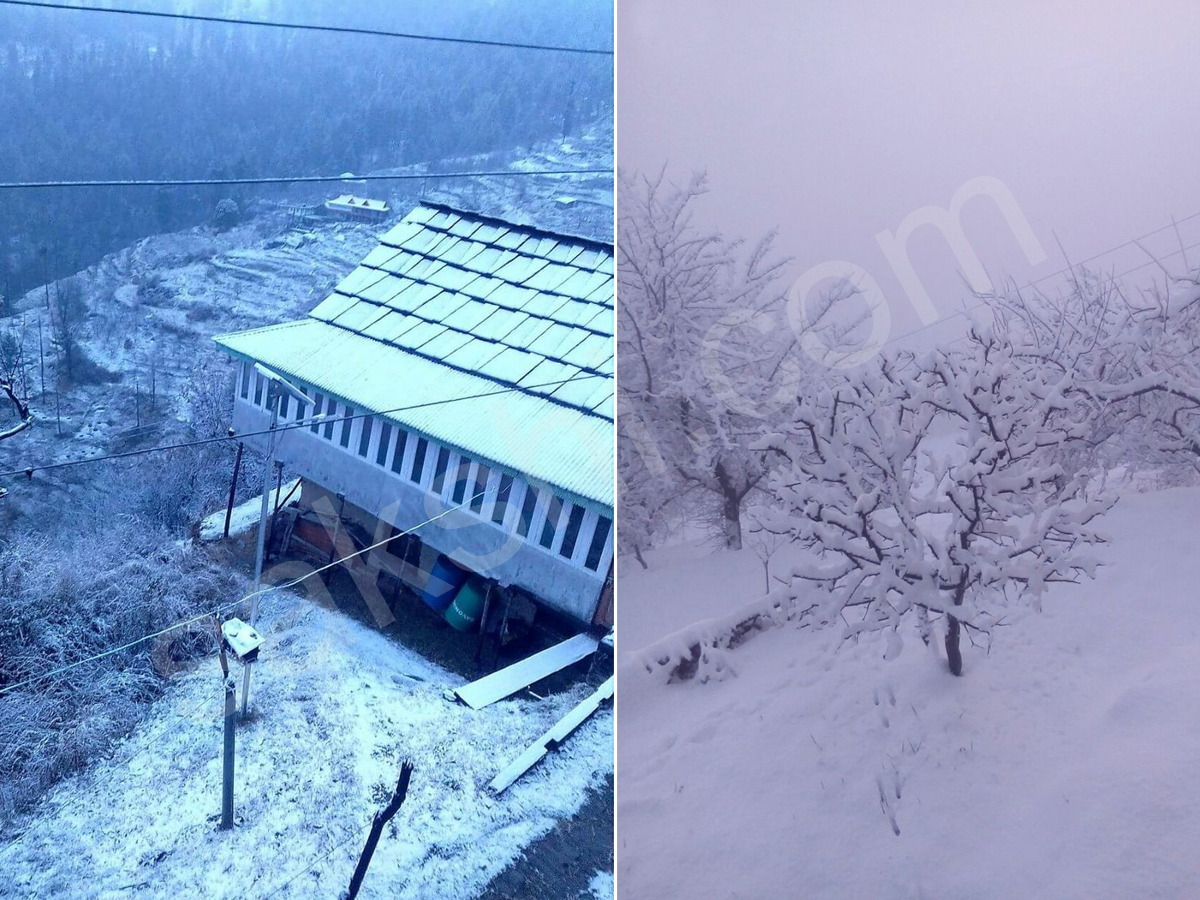 snowfall in himachal pradesh - Sakshi22