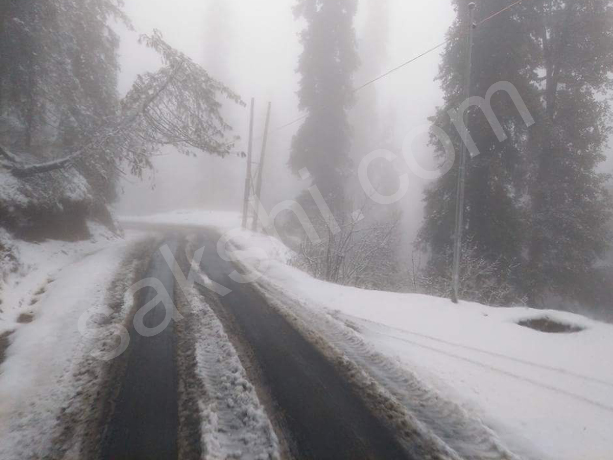 snowfall in himachal pradesh - Sakshi25