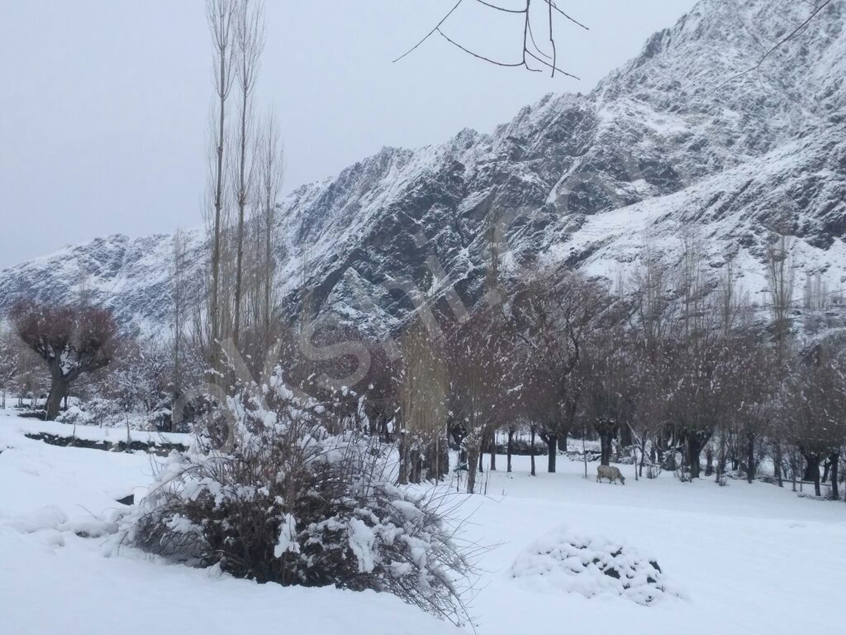 snowfall in himachal pradesh - Sakshi3