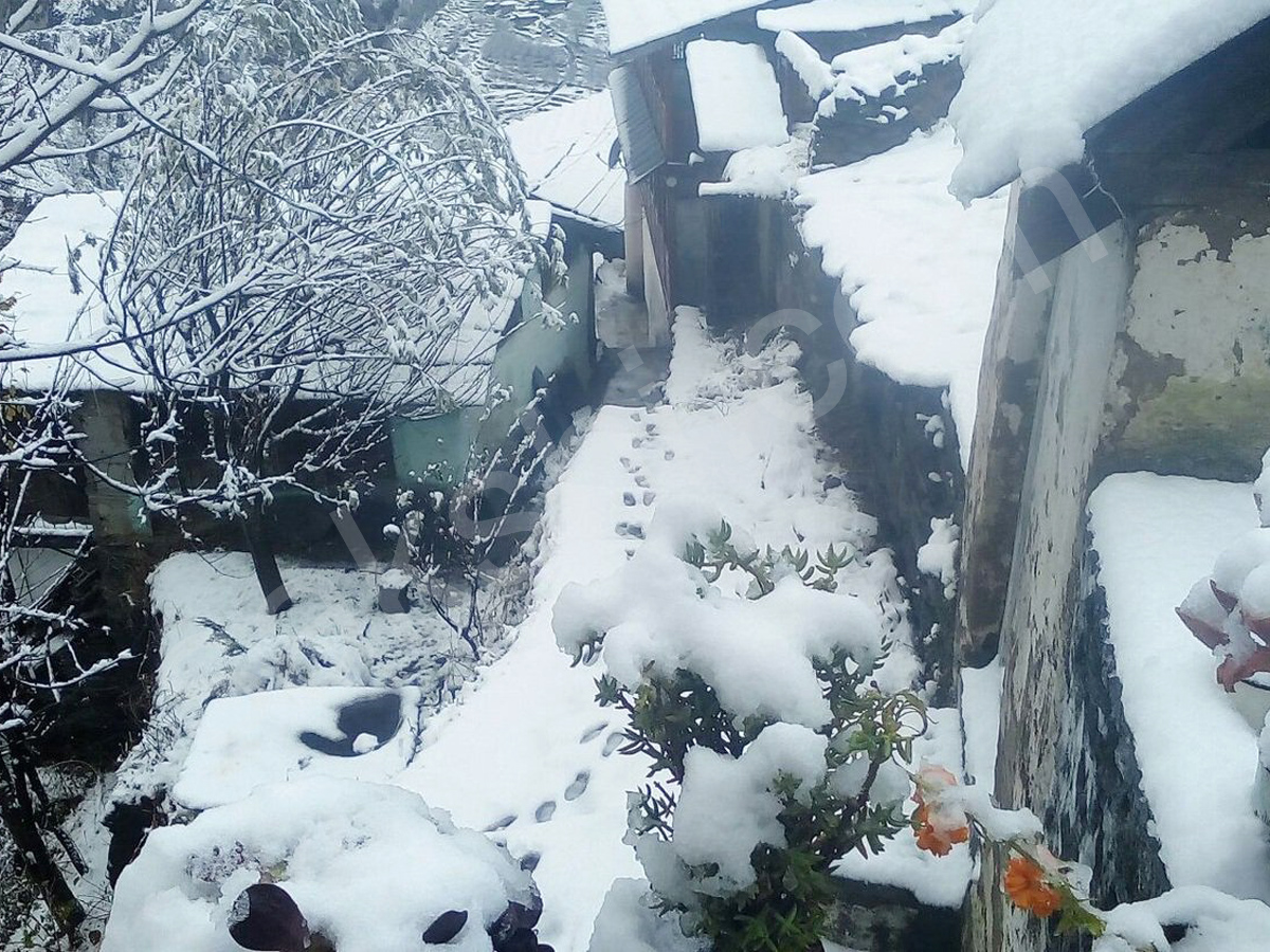 snowfall in himachal pradesh - Sakshi6