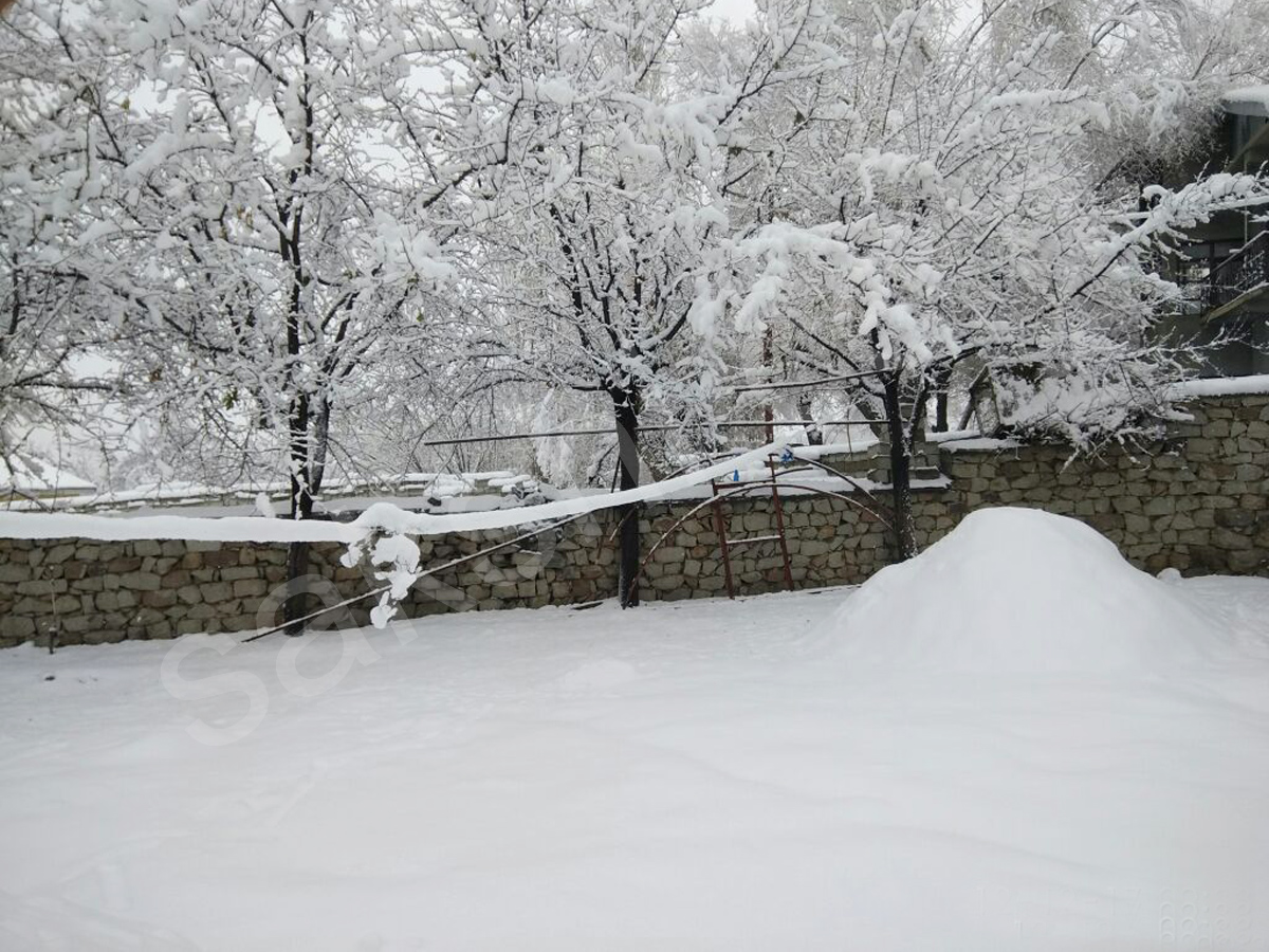 snowfall in himachal pradesh - Sakshi7