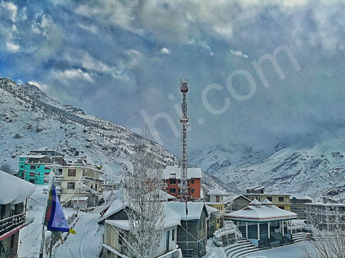 snowfall in himachal pradesh - Sakshi9