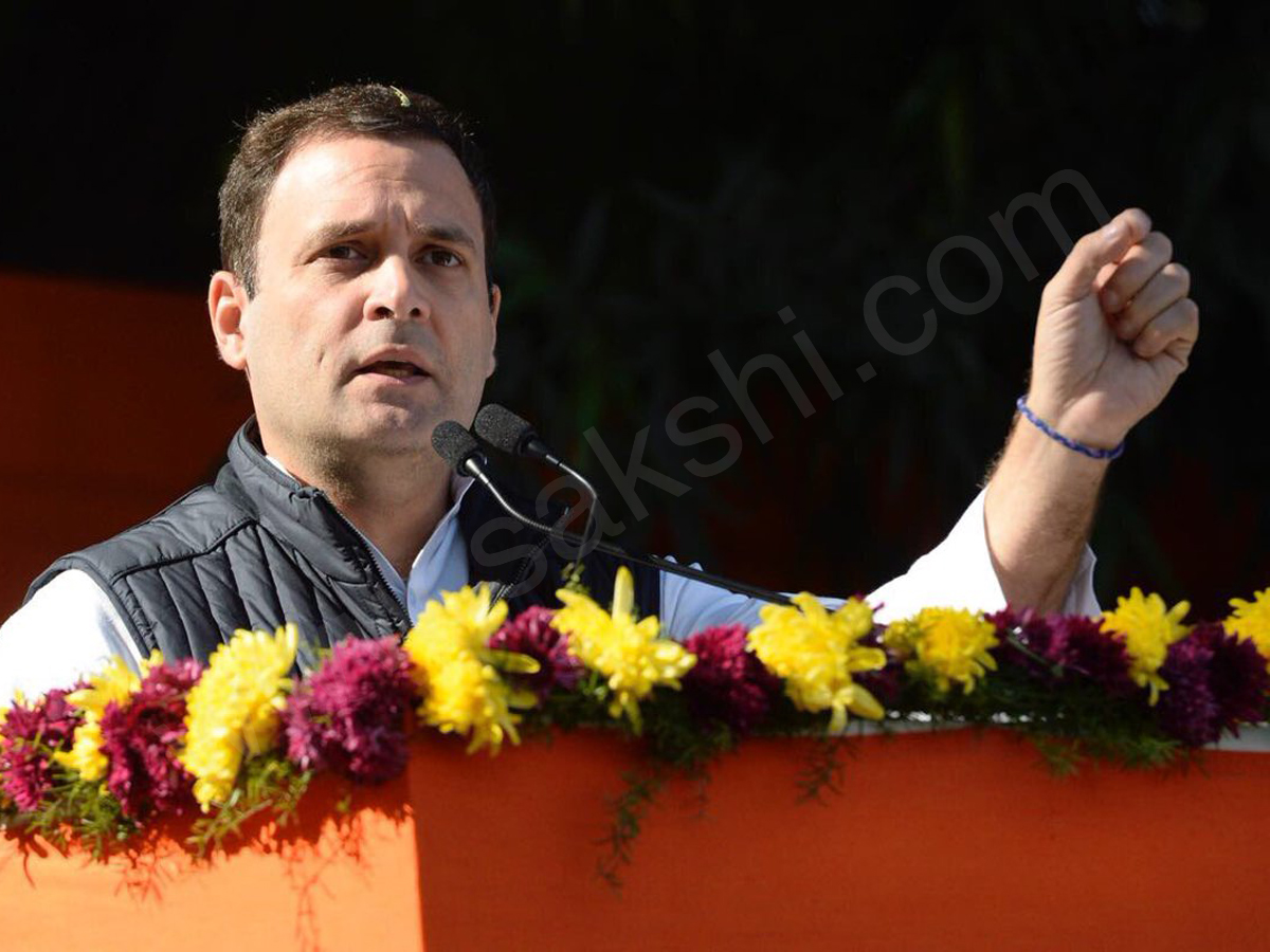 Congress president Rahul Gandhis elevation ceremony - Sakshi4