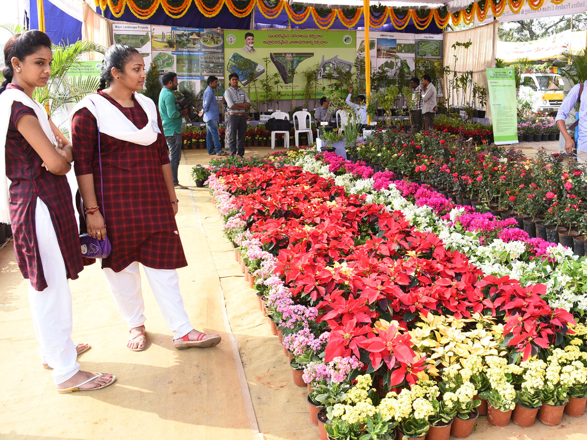 National rose show from in Vijayawada - Sakshi20