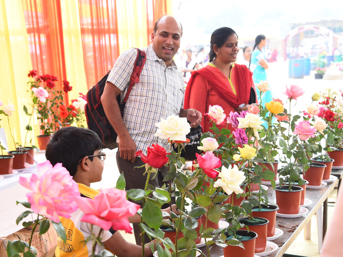 National rose show from in Vijayawada - Sakshi16